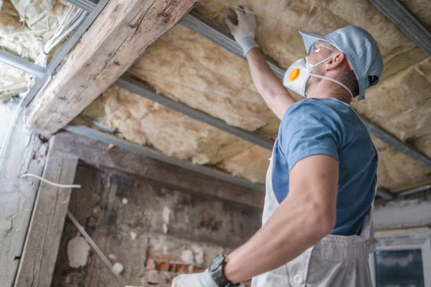 Best Residential Insulation in Skokie, IL